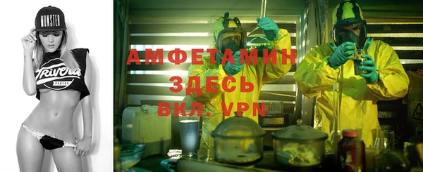 твердый Абаза