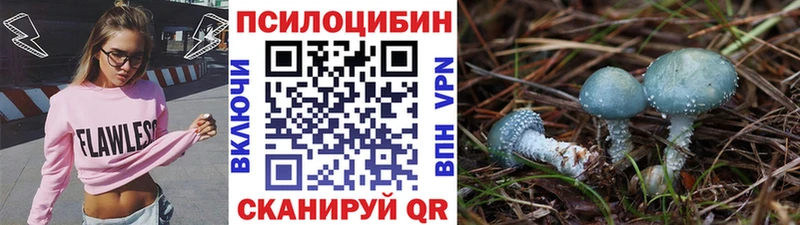 Галлюциногенные грибы Cubensis  Приволжск 